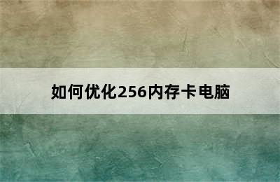 如何优化256内存卡电脑