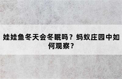 娃娃鱼冬天会冬眠吗？蚂蚁庄园中如何观察？