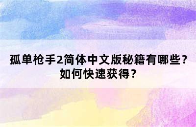 孤单枪手2简体中文版秘籍有哪些？如何快速获得？