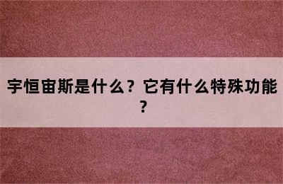 宇恒宙斯是什么？它有什么特殊功能？