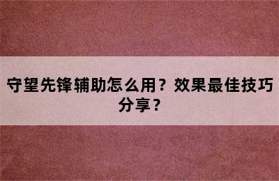 守望先锋辅助怎么用？效果最佳技巧分享？