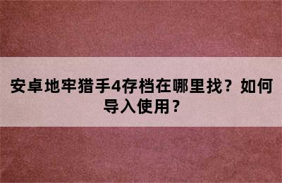 安卓地牢猎手4存档在哪里找？如何导入使用？