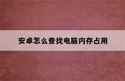 安卓怎么查找电脑内存占用