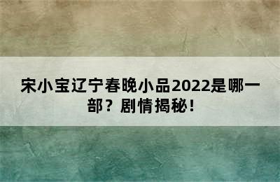 宋小宝辽宁春晚小品2022是哪一部？剧情揭秘！