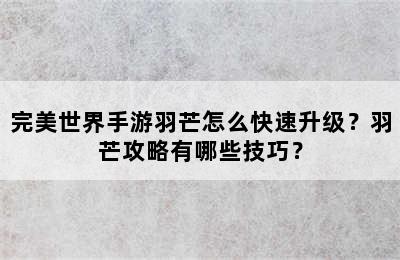 完美世界手游羽芒怎么快速升级？羽芒攻略有哪些技巧？