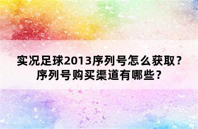 实况足球2013序列号怎么获取？序列号购买渠道有哪些？