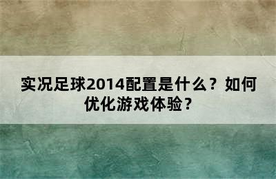 实况足球2014配置是什么？如何优化游戏体验？