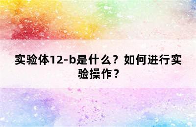 实验体12-b是什么？如何进行实验操作？