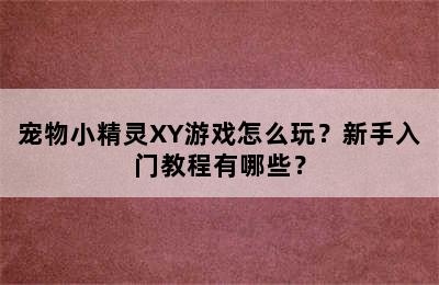 宠物小精灵XY游戏怎么玩？新手入门教程有哪些？