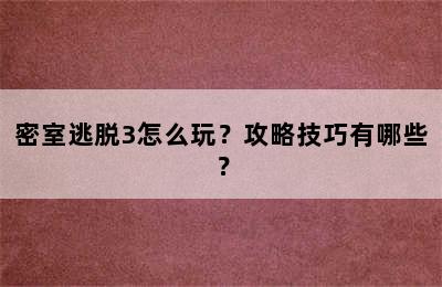 密室逃脱3怎么玩？攻略技巧有哪些？