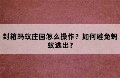 封箱蚂蚁庄园怎么操作？如何避免蚂蚁逃出？