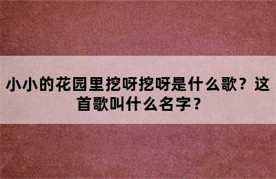 小小的花园里挖呀挖呀是什么歌？这首歌叫什么名字？