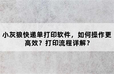 小灰狼快递单打印软件，如何操作更高效？打印流程详解？