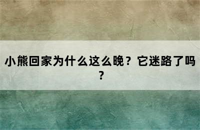 小熊回家为什么这么晚？它迷路了吗？