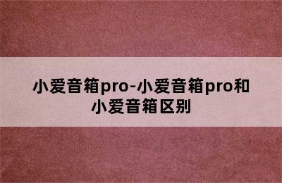 小爱音箱pro-小爱音箱pro和小爱音箱区别