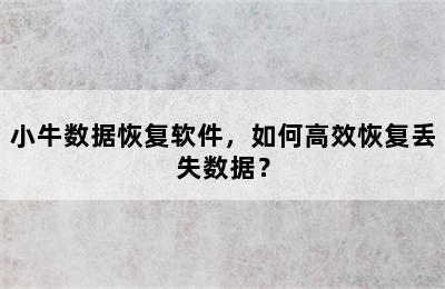 小牛数据恢复软件，如何高效恢复丢失数据？