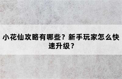 小花仙攻略有哪些？新手玩家怎么快速升级？