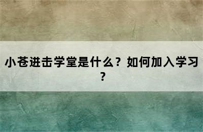 小苍进击学堂是什么？如何加入学习？