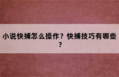 小说快捕怎么操作？快捕技巧有哪些？