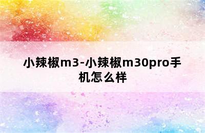 小辣椒m3-小辣椒m30pro手机怎么样