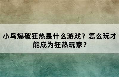 小鸟爆破狂热是什么游戏？怎么玩才能成为狂热玩家？