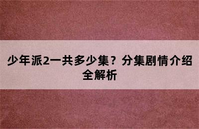 少年派2一共多少集？分集剧情介绍全解析