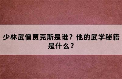 少林武僧贾克斯是谁？他的武学秘籍是什么？