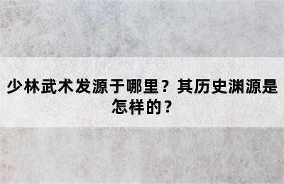 少林武术发源于哪里？其历史渊源是怎样的？