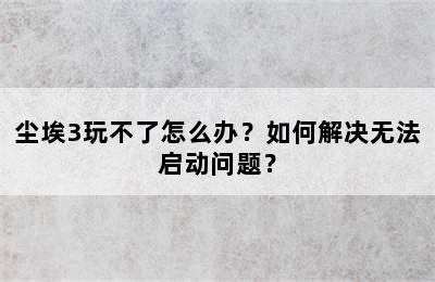 尘埃3玩不了怎么办？如何解决无法启动问题？