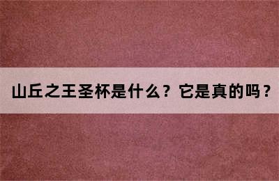 山丘之王圣杯是什么？它是真的吗？