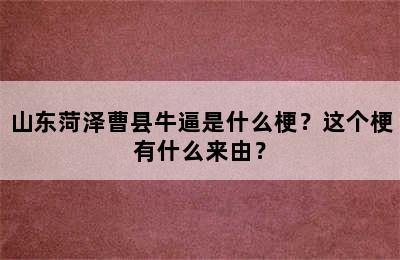 山东菏泽曹县牛逼是什么梗？这个梗有什么来由？