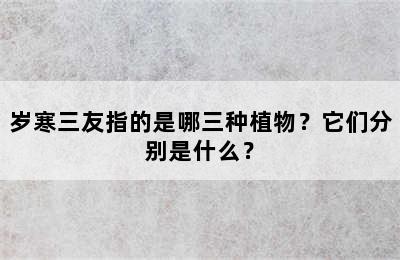 岁寒三友指的是哪三种植物？它们分别是什么？