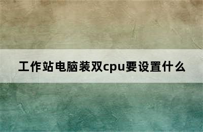 工作站电脑装双cpu要设置什么