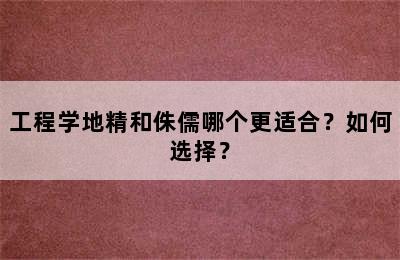 工程学地精和侏儒哪个更适合？如何选择？