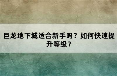 巨龙地下城适合新手吗？如何快速提升等级？