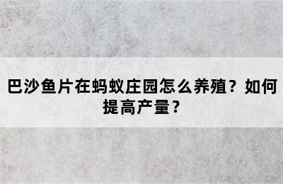 巴沙鱼片在蚂蚁庄园怎么养殖？如何提高产量？