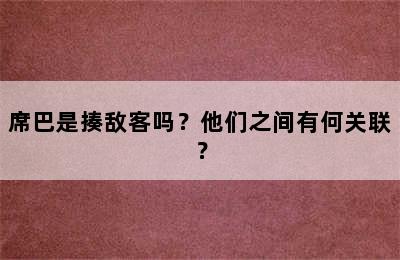 席巴是揍敌客吗？他们之间有何关联？