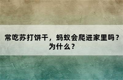 常吃苏打饼干，蚂蚁会爬进家里吗？为什么？