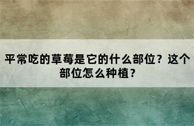 平常吃的草莓是它的什么部位？这个部位怎么种植？