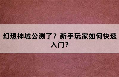 幻想神域公测了？新手玩家如何快速入门？