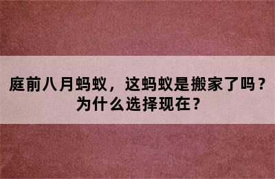 庭前八月蚂蚁，这蚂蚁是搬家了吗？为什么选择现在？