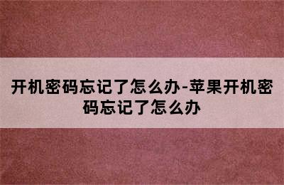 开机密码忘记了怎么办-苹果开机密码忘记了怎么办