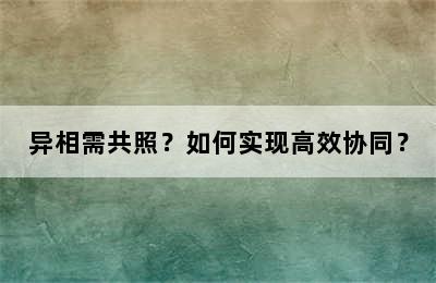 异相需共照？如何实现高效协同？