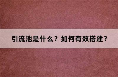 引流池是什么？如何有效搭建？