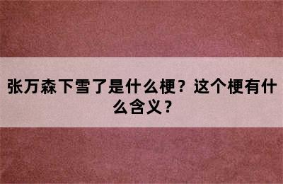 张万森下雪了是什么梗？这个梗有什么含义？