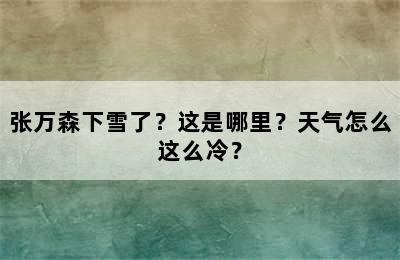 张万森下雪了？这是哪里？天气怎么这么冷？