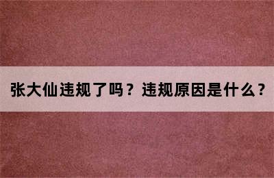 张大仙违规了吗？违规原因是什么？