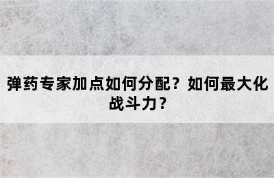 弹药专家加点如何分配？如何最大化战斗力？