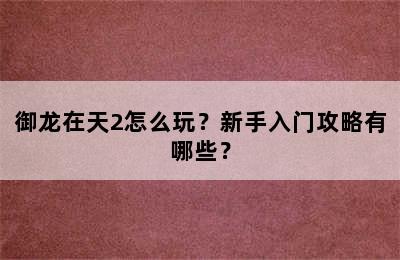 御龙在天2怎么玩？新手入门攻略有哪些？