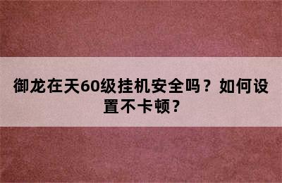 御龙在天60级挂机安全吗？如何设置不卡顿？